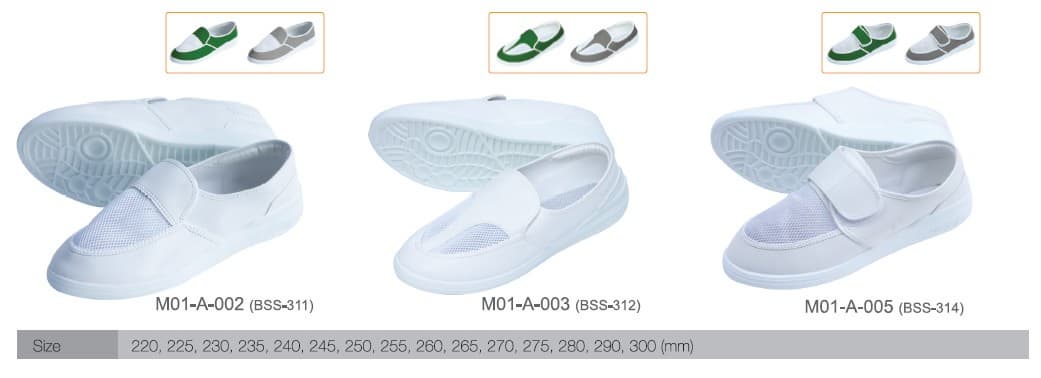 Static Dissipative Shoes